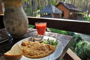 Сніданок в готелі, Холодний Яр